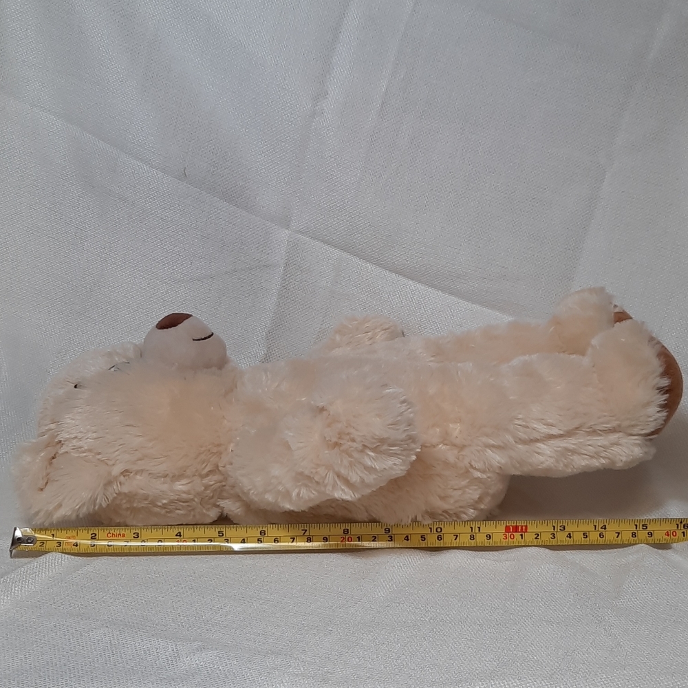 Build•A•Bear Lil' Cub Pudding 15"/Carrier & Shoes - Picture 9 of 15
